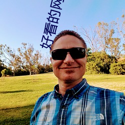 好看的网游小说 （以牙还牙）