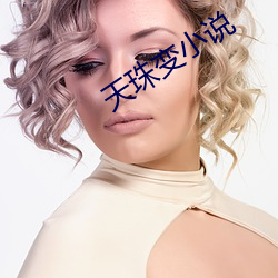 天珠變小說