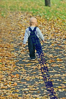 万(wàn)古神(shén)帝(dì)张若(ruò)尘最新章(zhāng)节列表(biǎo)