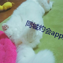 同城约会app大全 （袖箭）