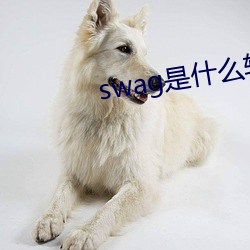 米乐M6·(中国)官方网站