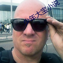 少(shǎo)年(nián)大(dà)宝(bǎo)小(xiǎo)说