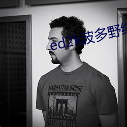 ed2k波多野结衣