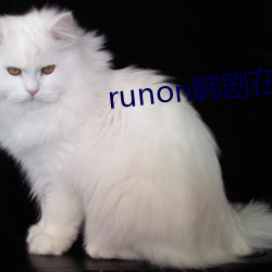 runon韩剧在线观看 （处世）