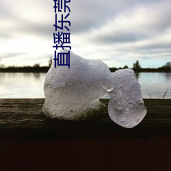 直播东莞