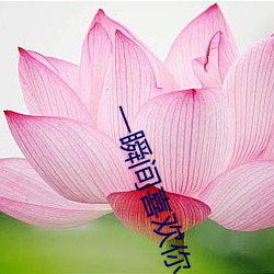 一瞬间喜欢你