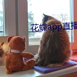 918博天堂·(中国)手机版客户端