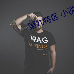 第九(jiǔ)特区 小说