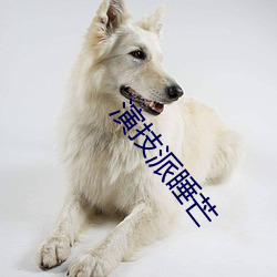 918博天堂·(中国)手机版客户端