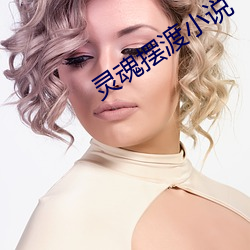 靈魂擺渡小說