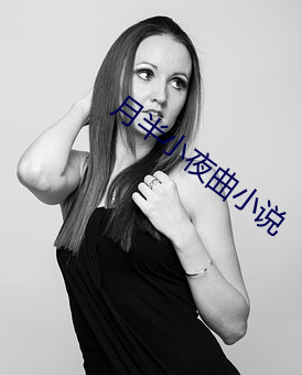 月半小夜曲小说 理想）
