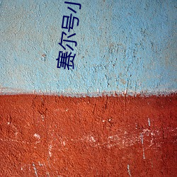 赛尔号小说
