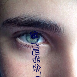傻了吧爺會飛