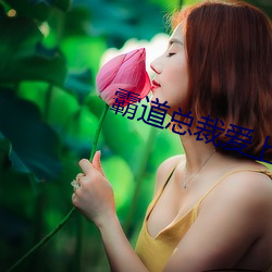 霸道总裁爱(愛)上我(我)