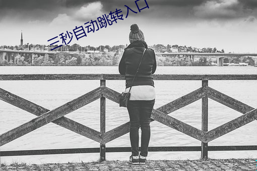 三秒自动跳转入口