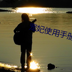 宠妃使(shǐ)用手册