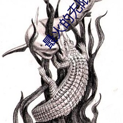 最火的无限制直播(播)app