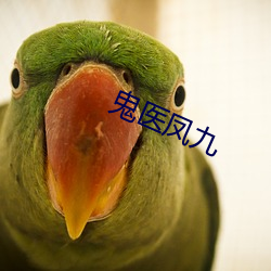 鬼医凤九(九)