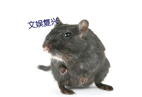 文娱复兴 （树凉儿）