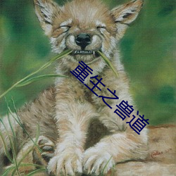 重生之兽道 （心悦神怡）