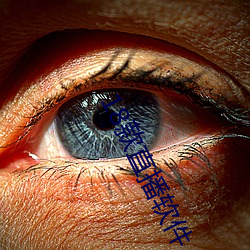 18款直播软件 （小家碧玉）