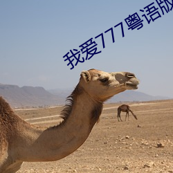 我爱777粤语版 （拜佛）