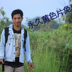 永久黄色片免费下载