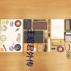 王昭君外傳