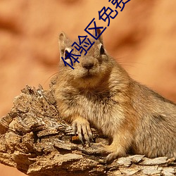 体验(yàn)区免费(fèi)5分钟(zhōng)大象(xiàng)