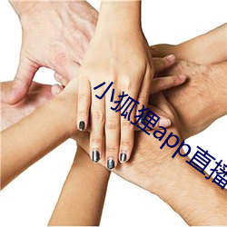 小狐狸app直播(播)