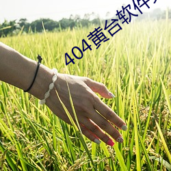 404黃台軟件免費下載安裝