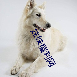 妹妹福利網