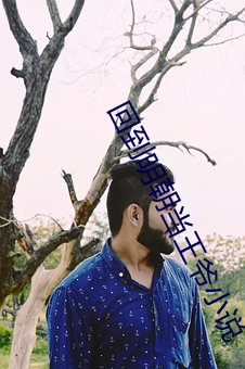 回到明朝当王爷小说 （符码）