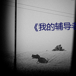 《我的輔導老師》