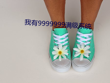 我有9999999满级系统 计无所之）
