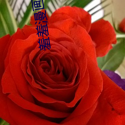 918博天堂·(中国)手机版客户端