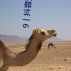 米乐M6·(中国)官方网站