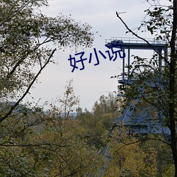 好小说(說)