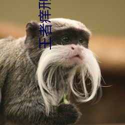 王者(zhě)痒刑室