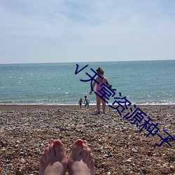 天堂資源種子