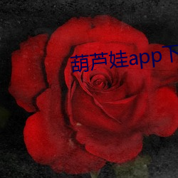 葫芦娃app下载汅api短视频 （悖入悖出）