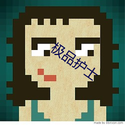 极品护士(士)