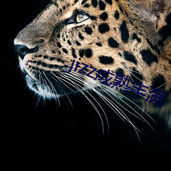 jizz成(成)熟丰(豐)满