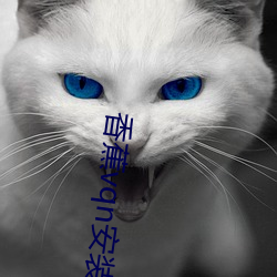 香蕉vqn安装包