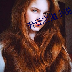 升迁之道小说