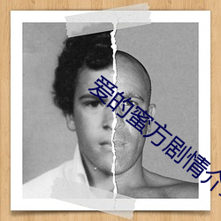 爱的蜜方剧情介绍