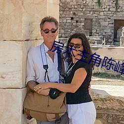 房术主角陈峰周慧 ��言之谆谆，听之藐藐��