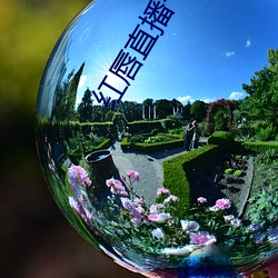 九游会登录j9入口 - 中国官方网站 | 真人游戏第一品牌