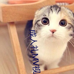 成人礼MV视频