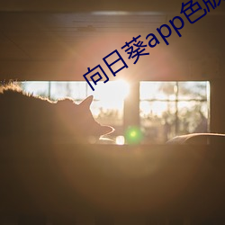 向日葵app色版